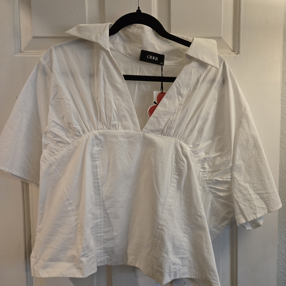 Plus Size 2XL Cider Cream Blouse with V-Neck